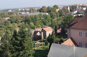 IMGP6278